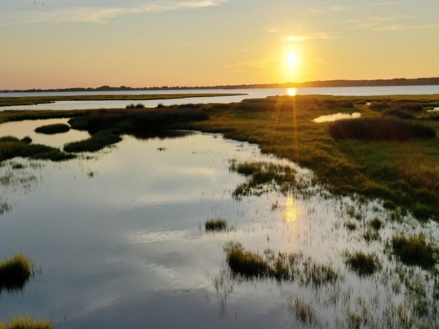 Assateague State Park