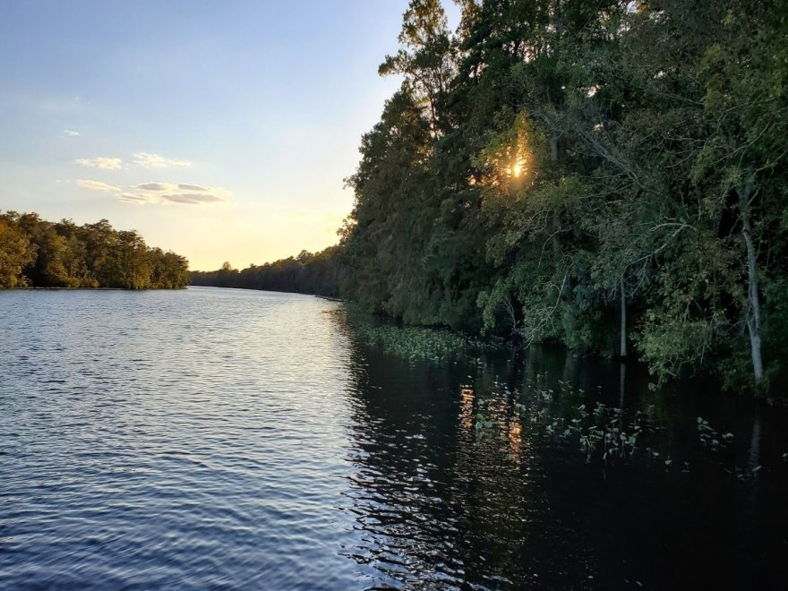 Pocomoke River State Park: Milburn Landing