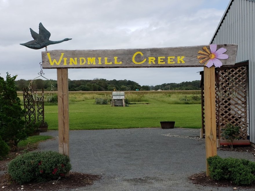 Windmill Creek Vineyard & Winery